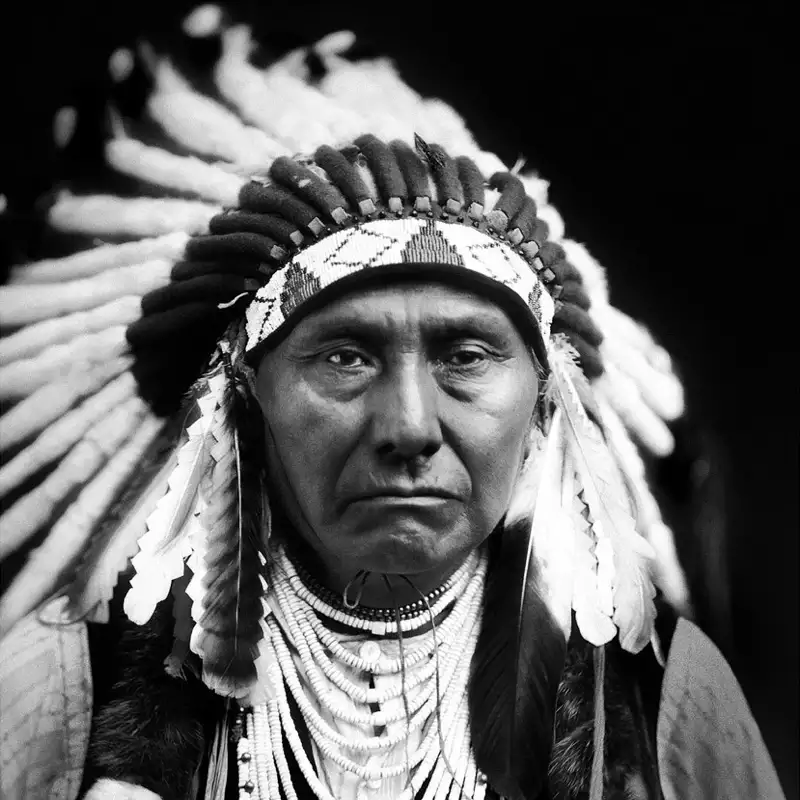 This is an image of a Native American.